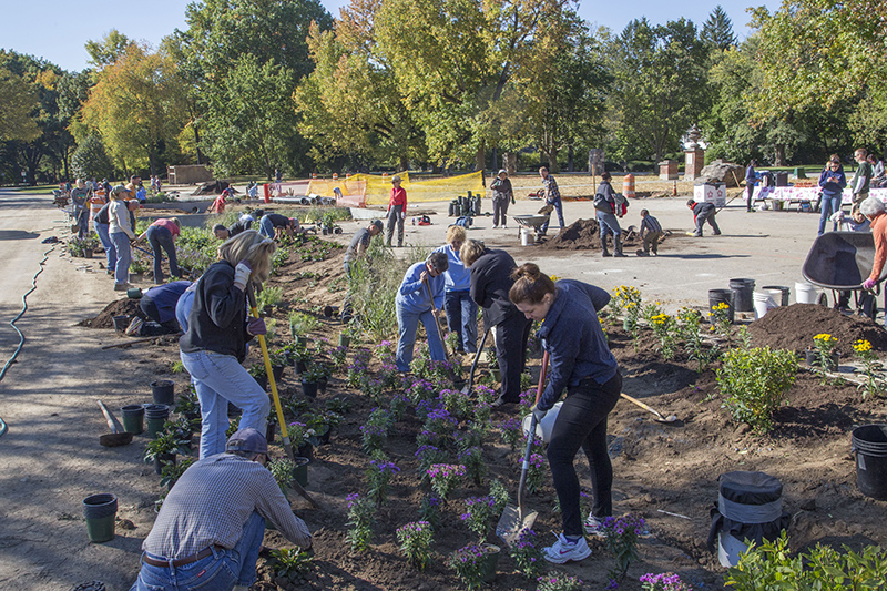 Random Rippling - Holliday Park 