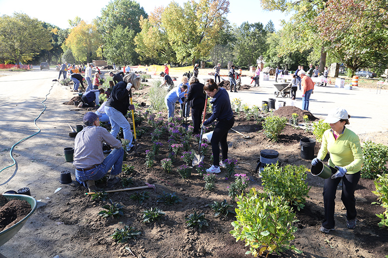 Random Rippling - Holliday Park 