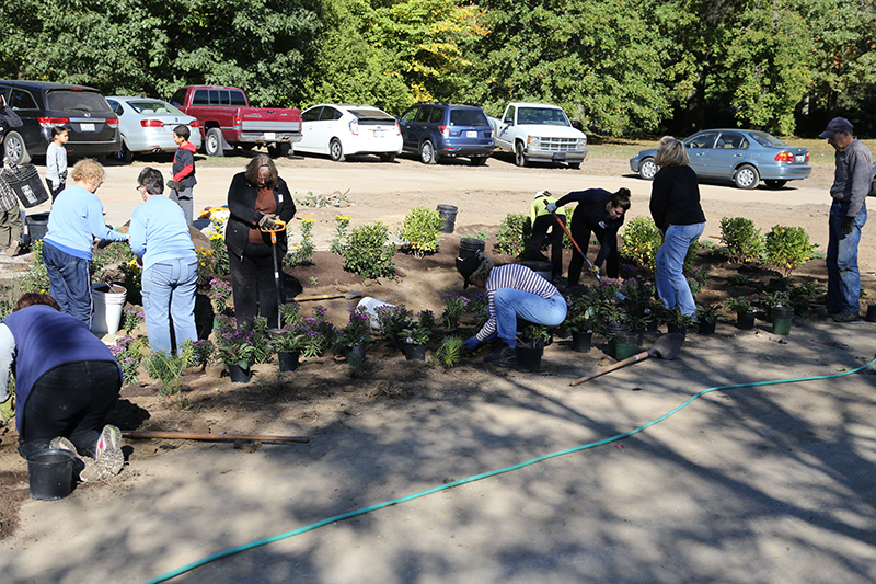 Random Rippling - Holliday Park 