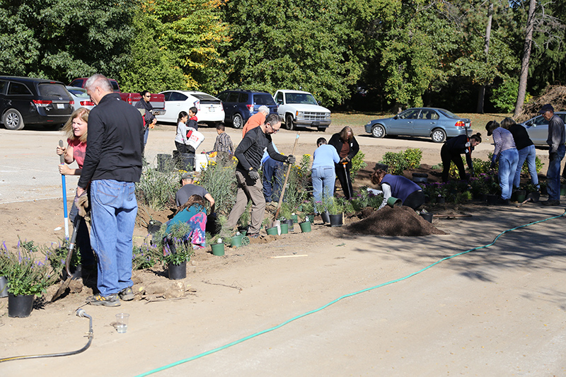 Random Rippling - Holliday Park 