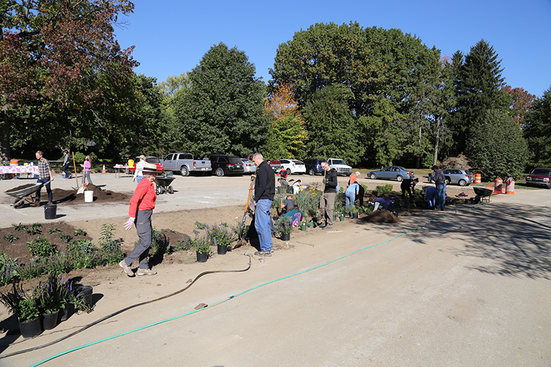 Random Rippling - Holliday Park 