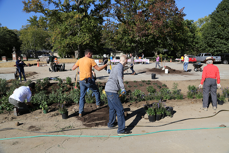 Random Rippling - Holliday Park 