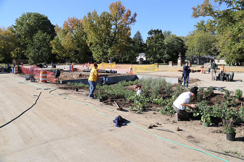 Random Rippling - Holliday Park 