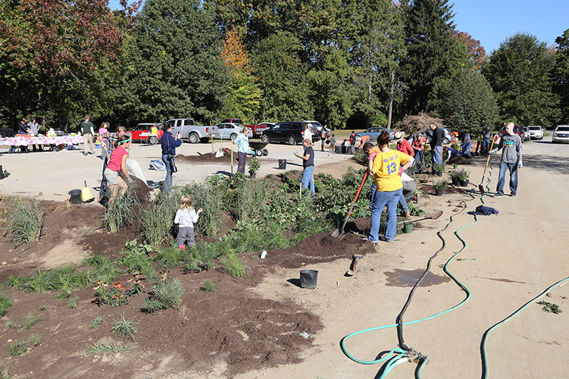 Random Rippling - Holliday Park 