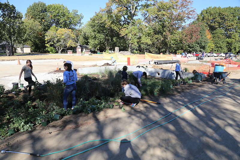 Random Rippling - Holliday Park 