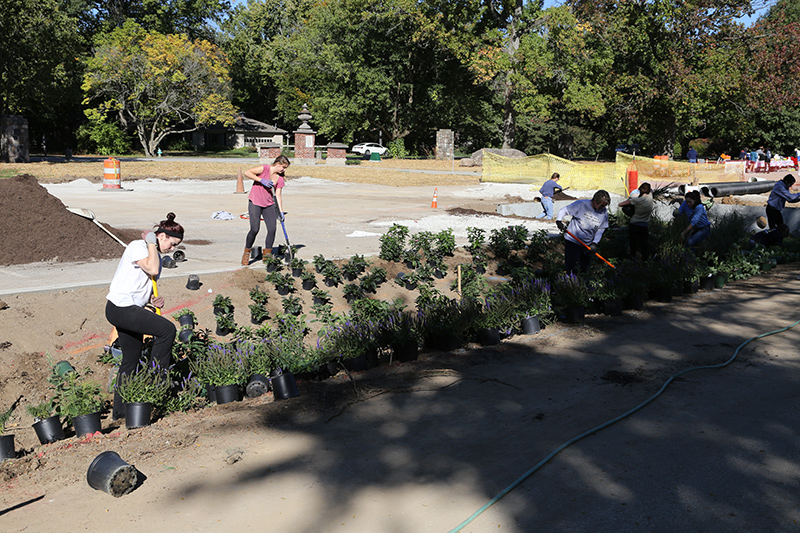 Random Rippling - Holliday Park 