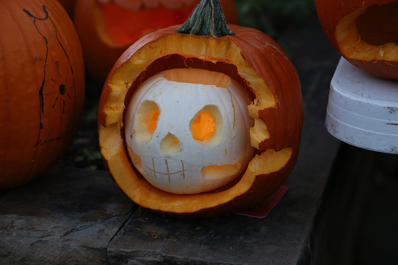 Random Rippling - Brewpub pumpkin carving contest