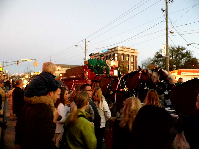 Frog's Random Rippling - Budweiser Clydesdales