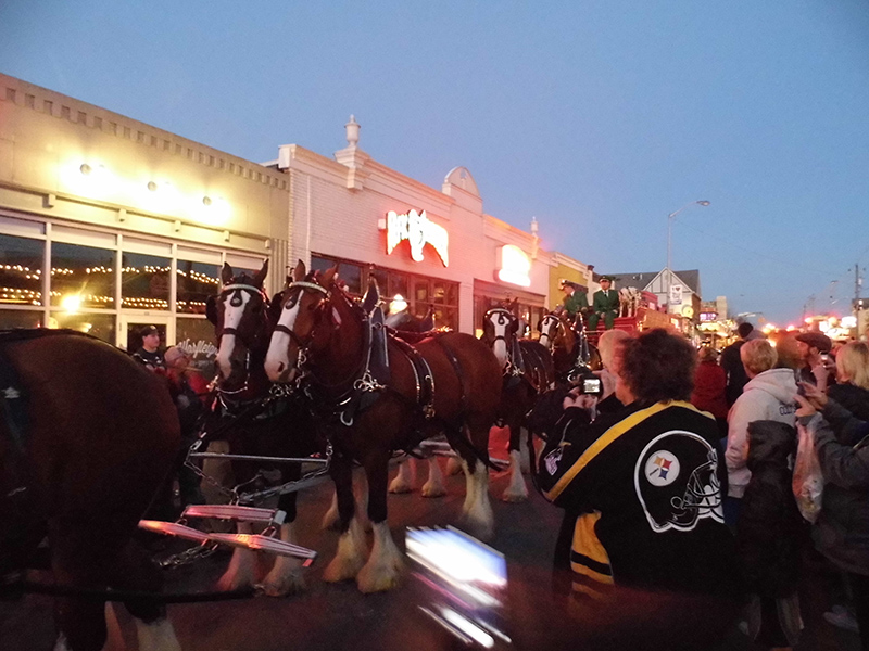 Frog's Random Rippling - Budweiser Clydesdales