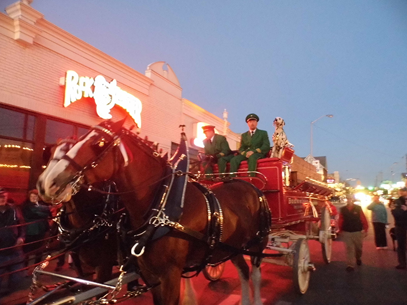 Frog's Random Rippling - Budweiser Clydesdales
