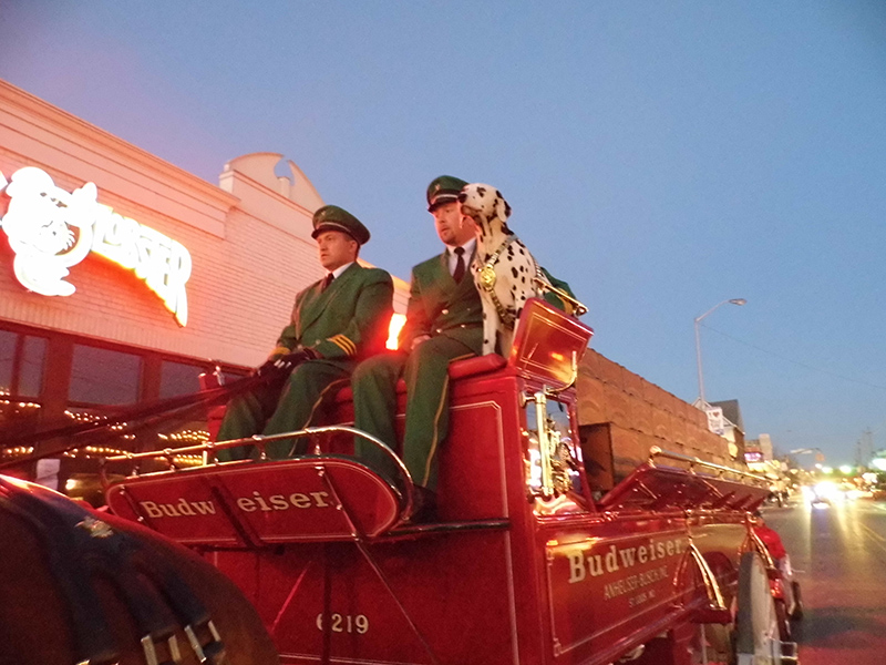 Frog's Random Rippling - Budweiser Clydesdales