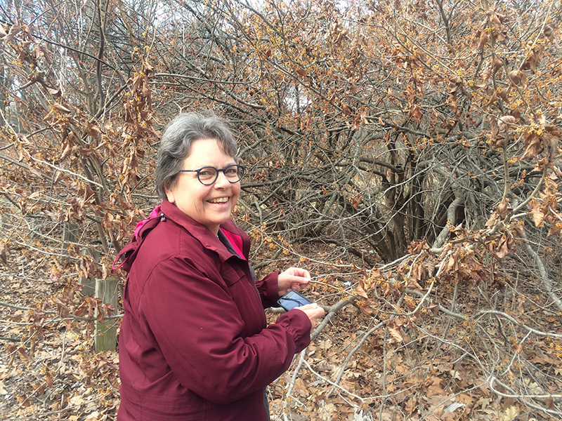 Norma Wallman with the witch hazel.