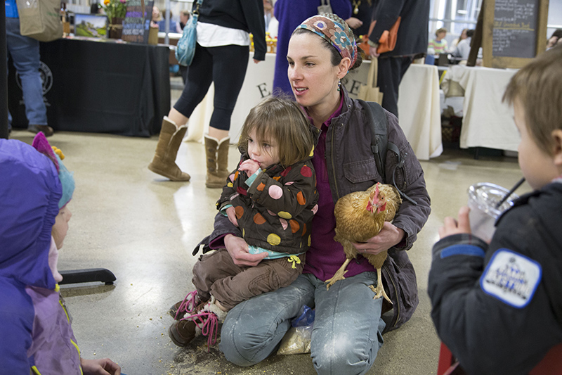 Rosemary the chicken came to the market for a visit