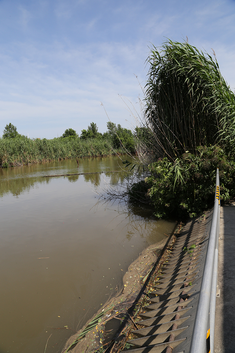 bar gate at canal entrance to treatment plant