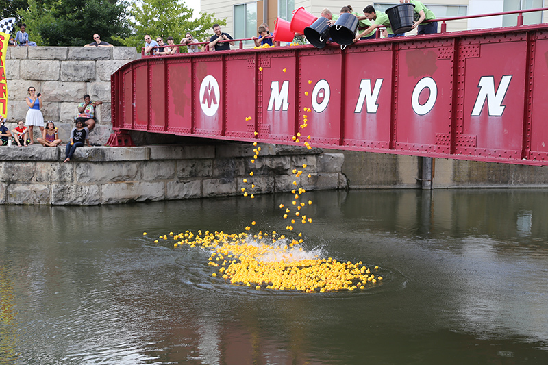 BRVA DUCK RACE 2016