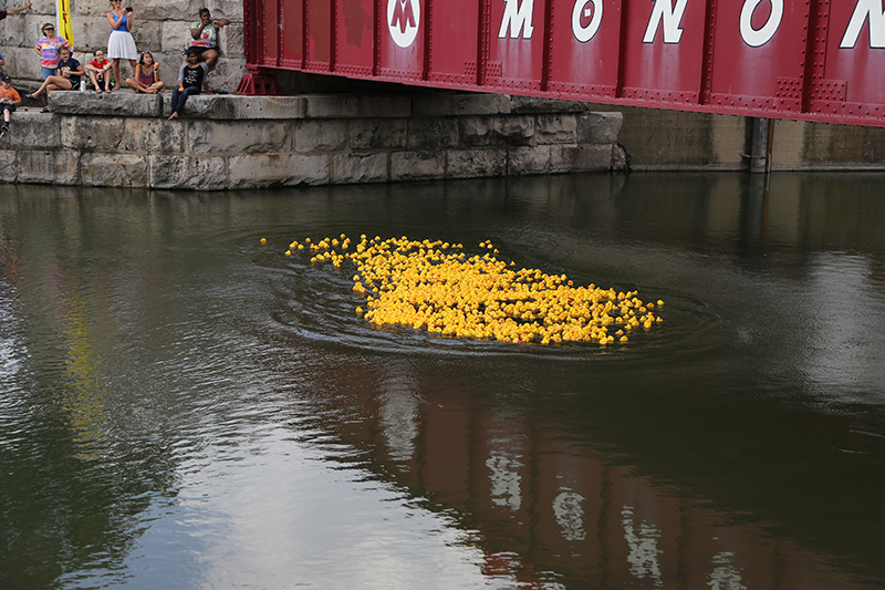 BRVA DUCK RACE 2016