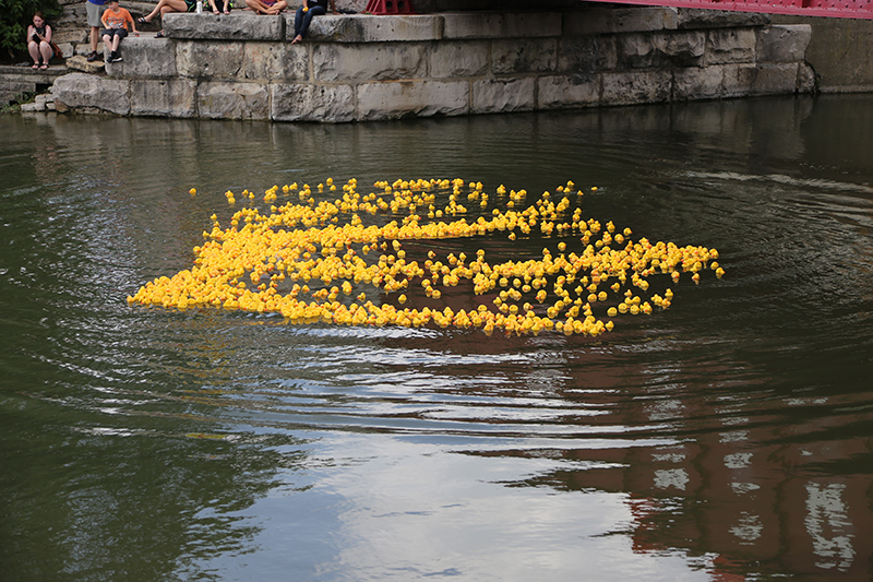 BRVA DUCK RACE 2016