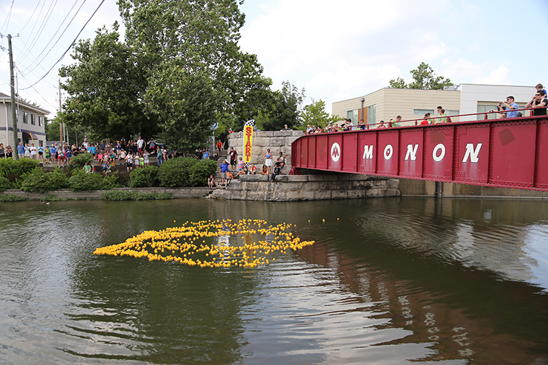 BRVA DUCK RACE 2016