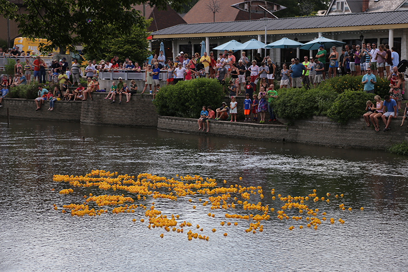 BRVA DUCK RACE 2016