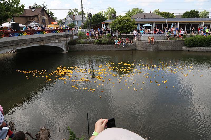 BRVA DUCK RACE 2016