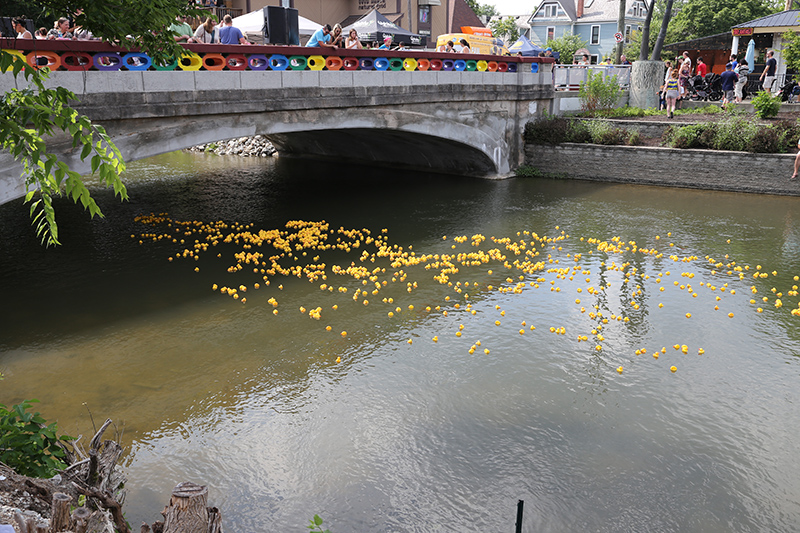 BRVA DUCK RACE 2016