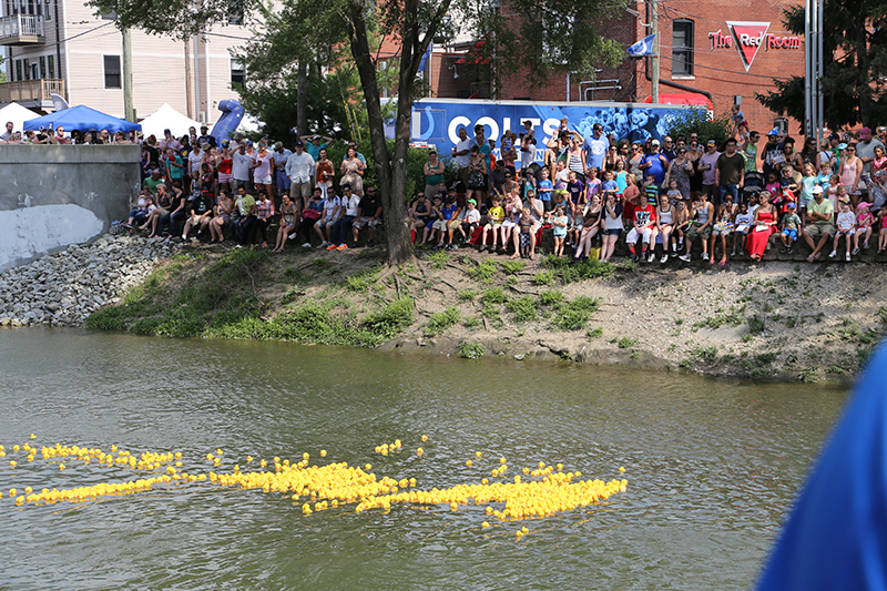 BRVA DUCK RACE 2016