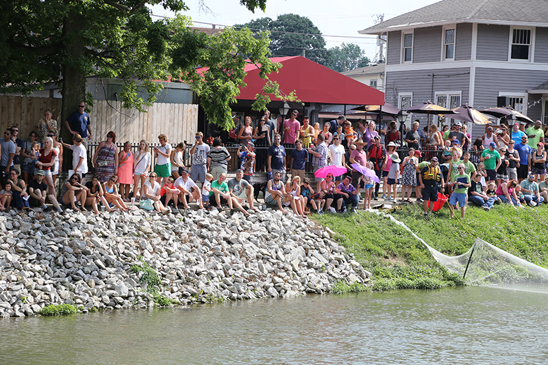 BRVA DUCK RACE 2016