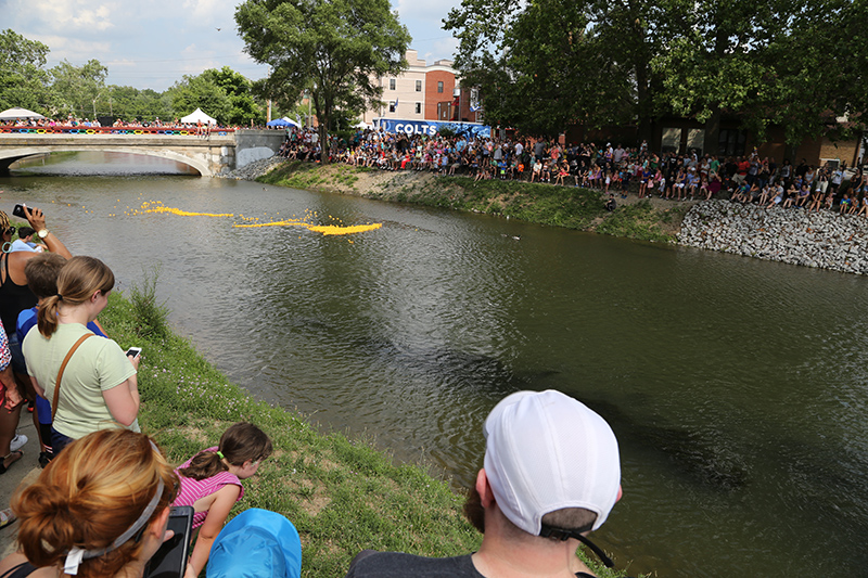 BRVA DUCK RACE 2016