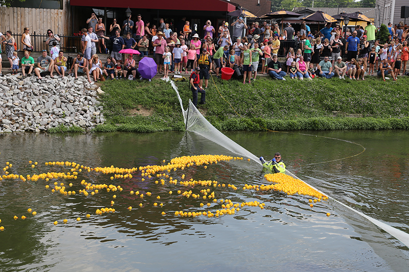 BRVA DUCK RACE 2016