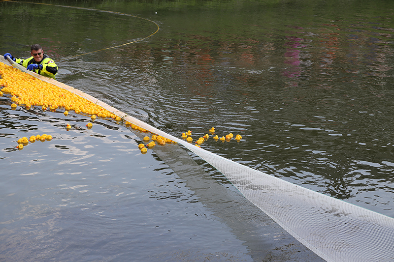 BRVA DUCK RACE 2016