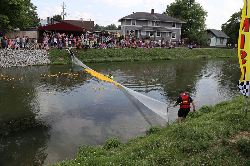 BRVA DUCK RACE 2016