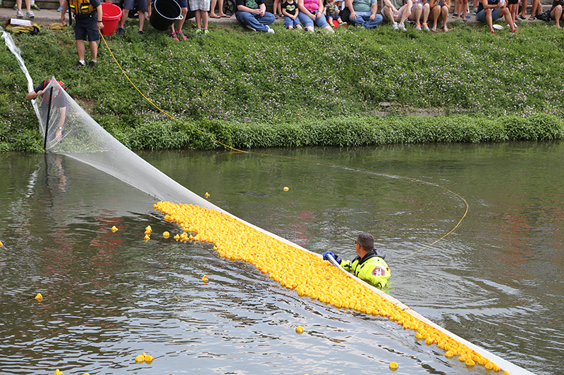 BRVA DUCK RACE 2016