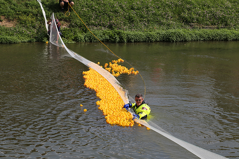 BRVA DUCK RACE 2016