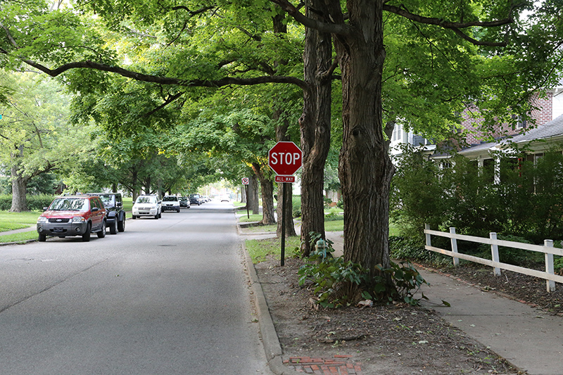 Random Rippling - New stop sign at Paxton