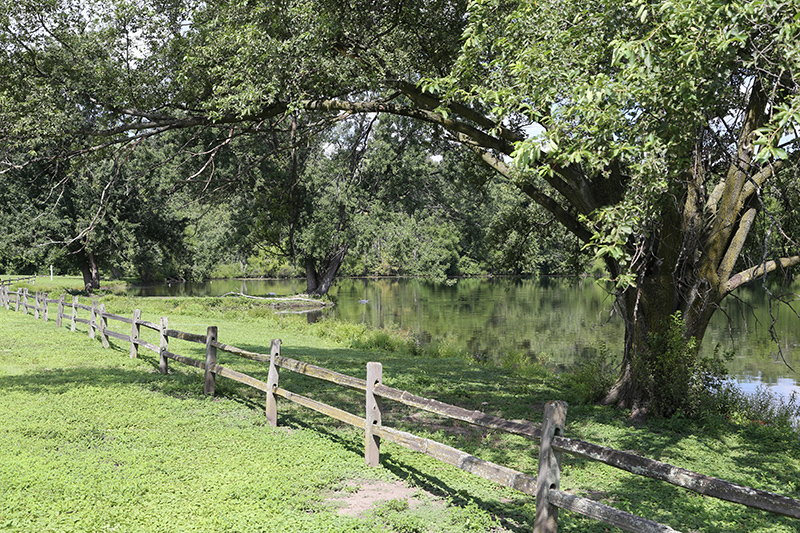 Random Rippling - American Village sale