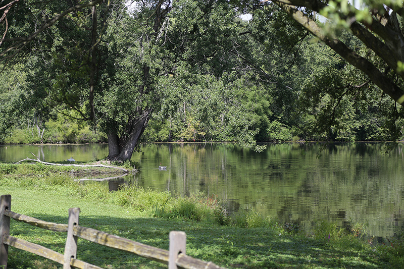 Random Rippling - American Village sale