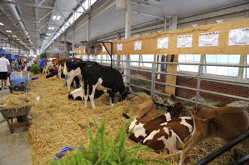 Indiana State Fair 2016