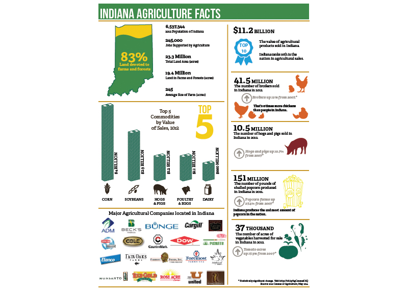 Right in my Own Backyard - Bring Farming Into Our Yards - by Brandt Carter 