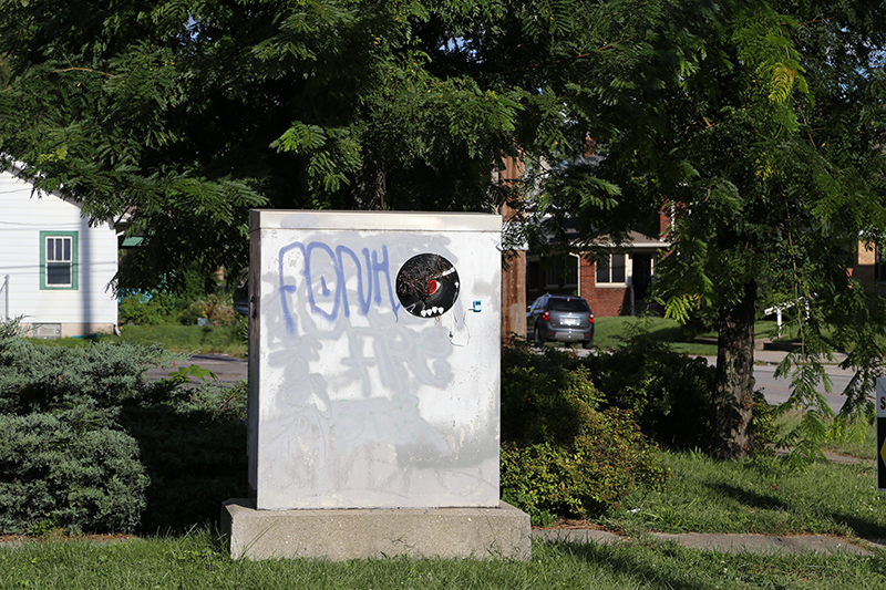 Random Rippling - More of the LPs as seen in 