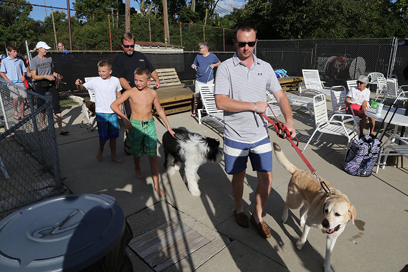 Random Rippling - Dog swim