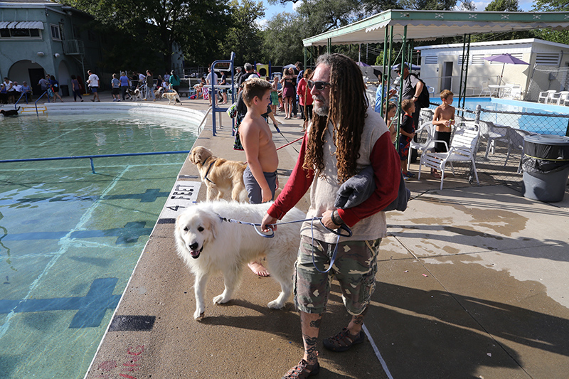 Random Rippling - Dog swim