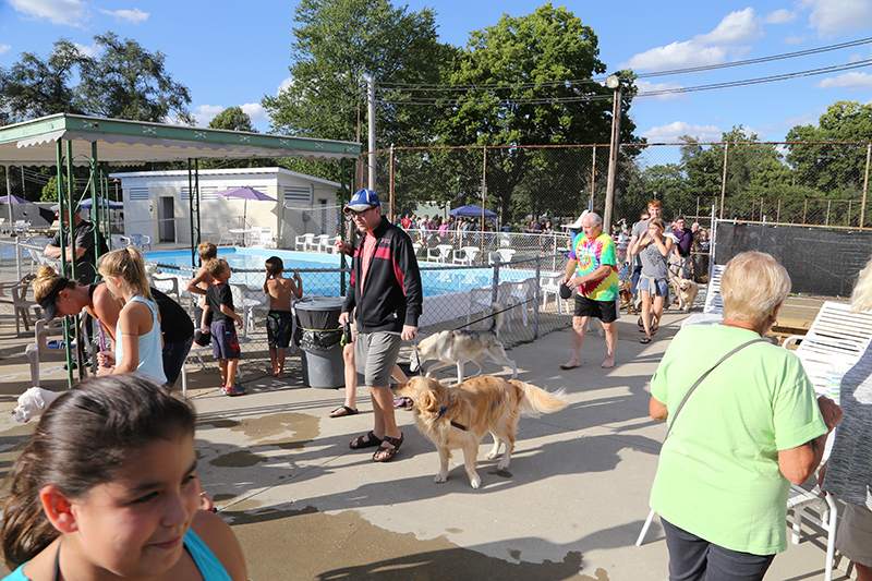 Random Rippling - Dog swim