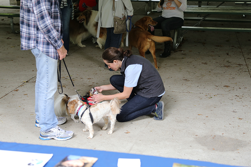 Random Rippling - Pet Blessing by St Paul's Episcopal Church