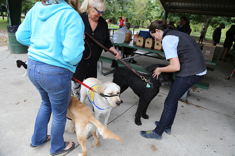 Random Rippling - Pet Blessing by St Paul's Episcopal Church