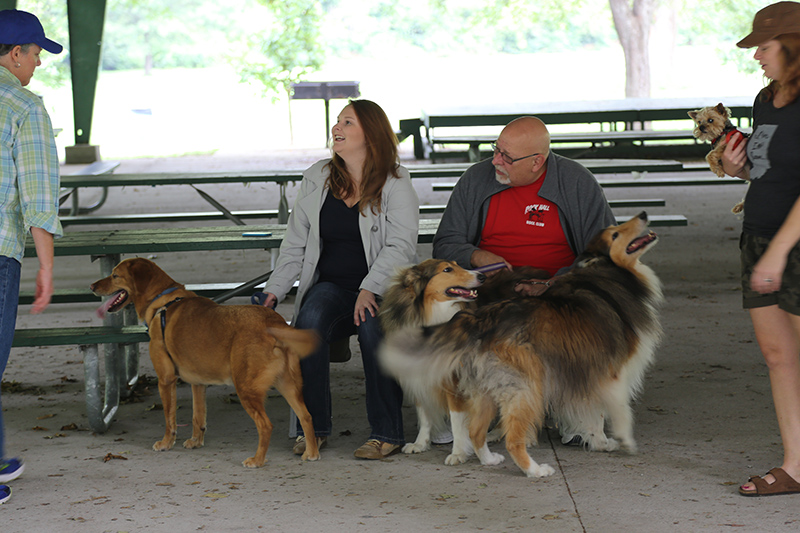 Random Rippling - Pet Blessing by St Paul's Episcopal Church