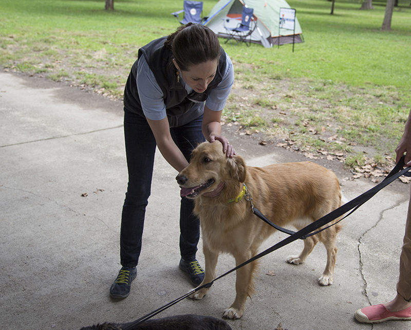 Random Rippling - Pet Blessing by St Paul's Episcopal Church