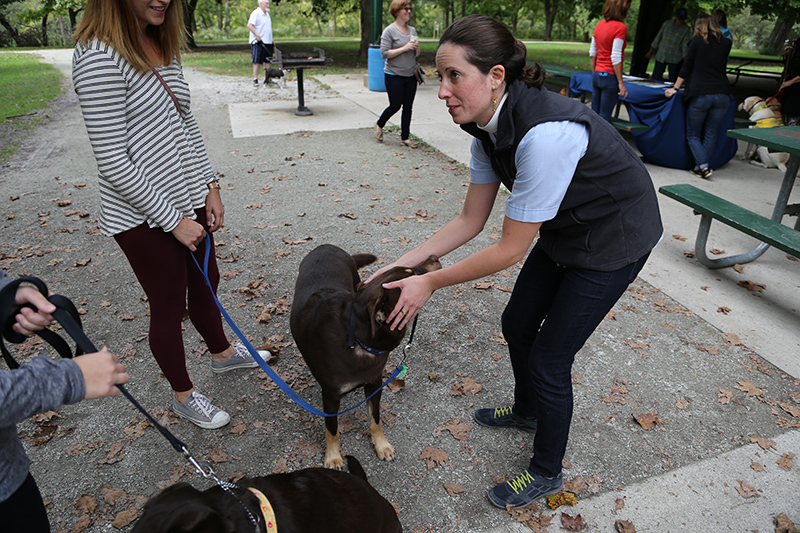 Random Rippling - Pet Blessing by St Paul's Episcopal Church