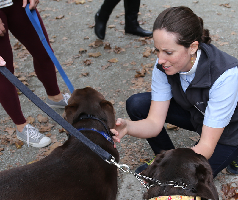 The Rev. Sarah Ginolfi, Parish Missioner at St. Paul's, blesses Harvey and Murphy