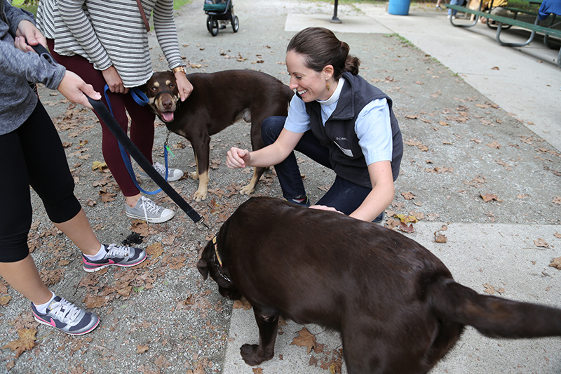 Random Rippling - Pet Blessing by St Paul's Episcopal Church