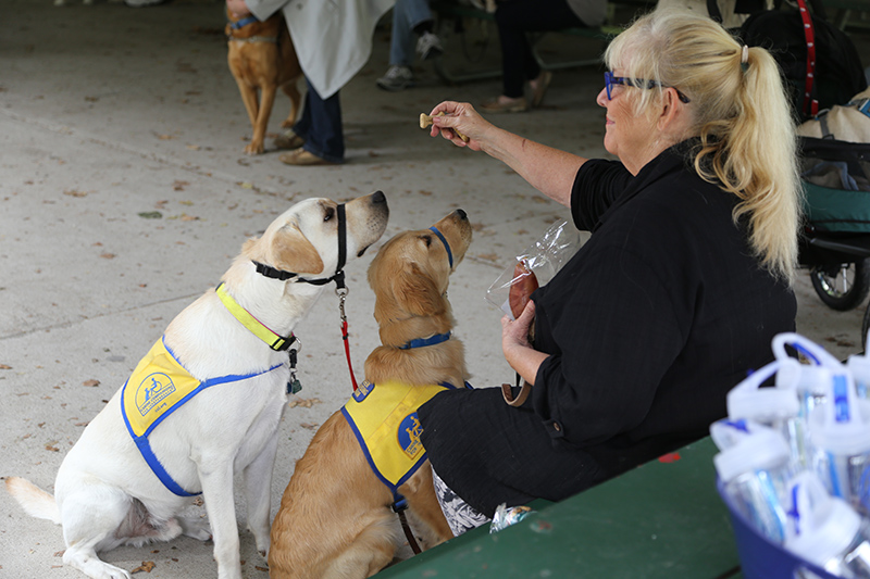 Brandt Carter with her CCI service dogs in training